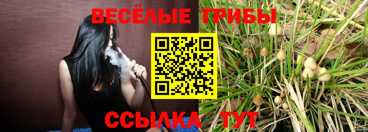 Дальнереченск  Галлюциногенные грибы Psilocybe  Вход с VPN 